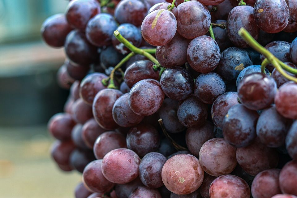 عنب