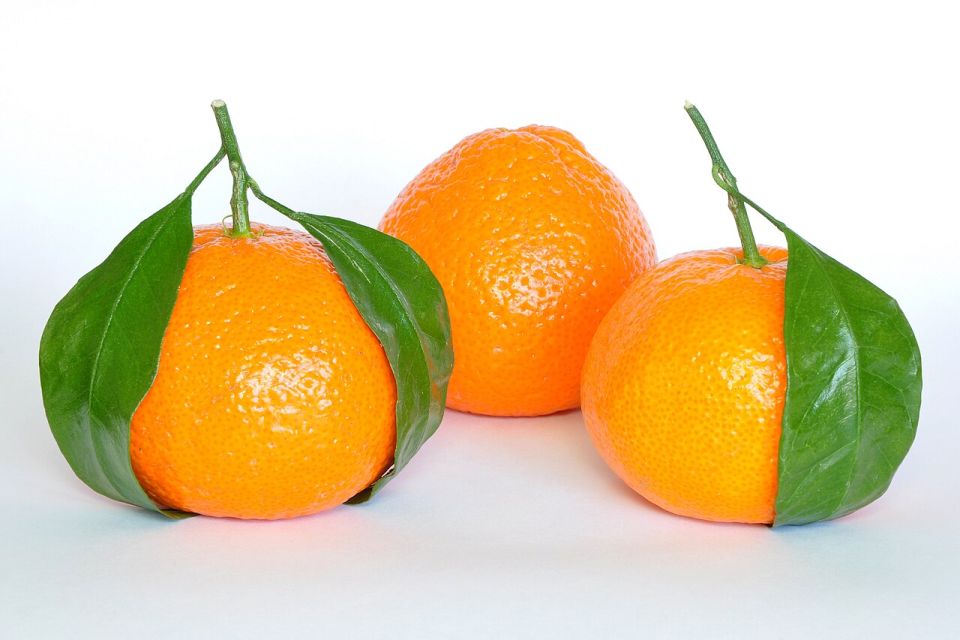 يوسفي
