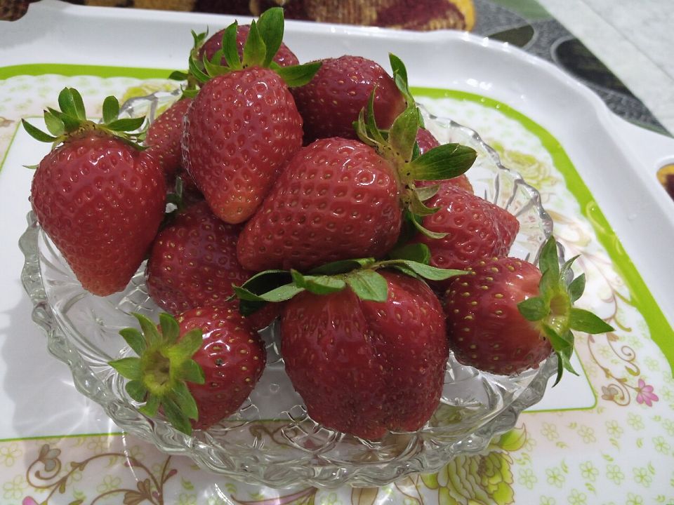 فراولة